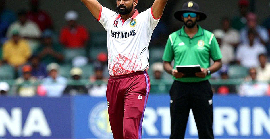Eight Sections, Zero Facts: The Cricket Report That Looks Complete